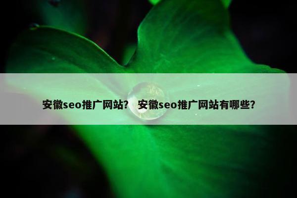 安徽seo推广网站？ 安徽seo推广网站有哪些？