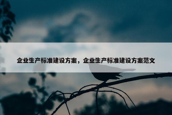 企业生产标准建设方案，企业生产标准建设方案范文