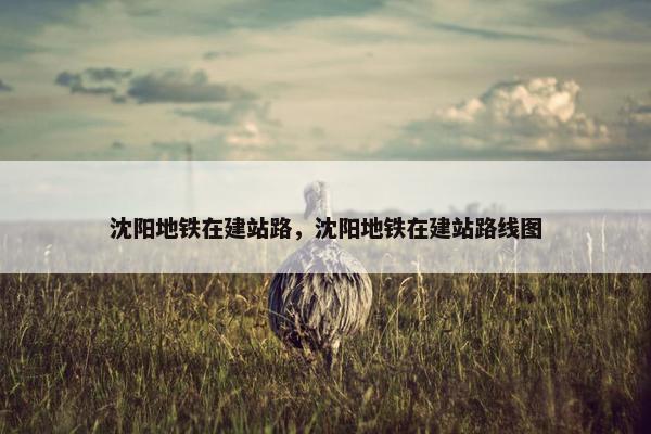 沈阳地铁在建站路，沈阳地铁在建站路线图