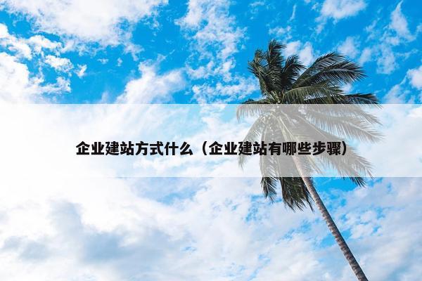 企业建站方式什么（企业建站有哪些步骤）