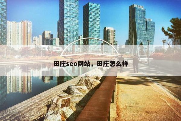 田庄seo网站，田庄怎么样