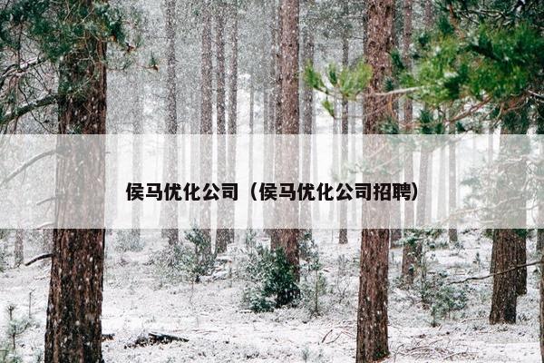 侯马优化公司（侯马优化公司招聘）