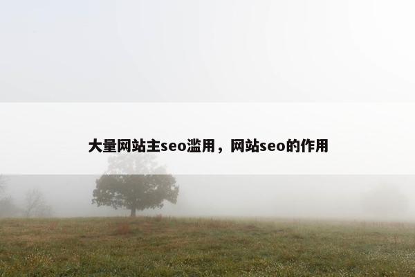 大量网站主seo滥用，网站seo的作用