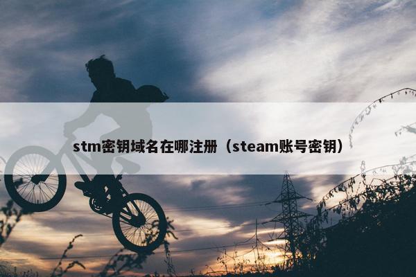 stm密钥域名在哪注册（steam账号密钥）
