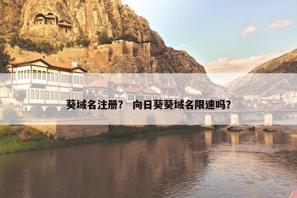 葵域名注册？ 向日葵葵域名限速吗？