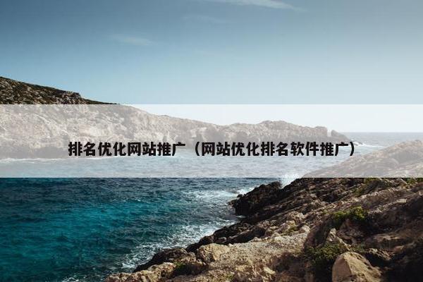 排名优化网站推广（网站优化排名软件推广）