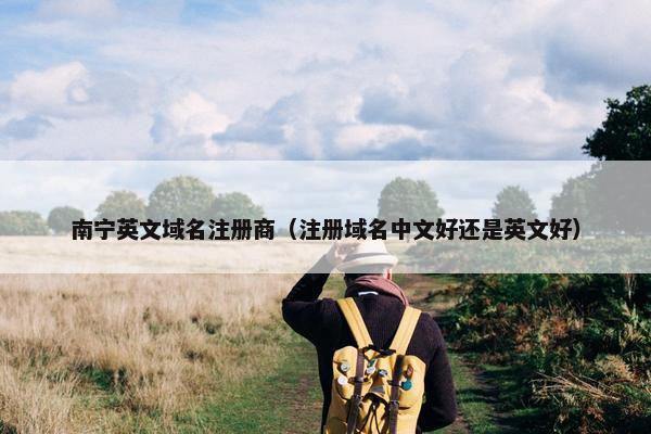 南宁英文域名注册商（注册域名中文好还是英文好）