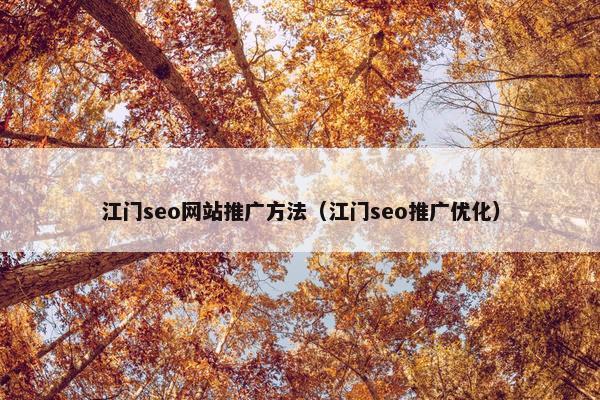 江门seo网站推广方法（江门seo推广优化）