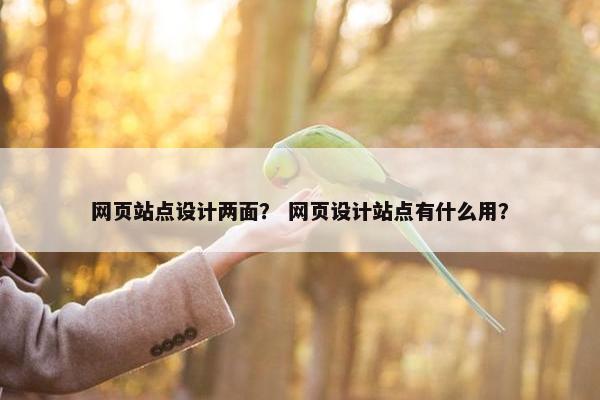 网页站点设计两面？ 网页设计站点有什么用？