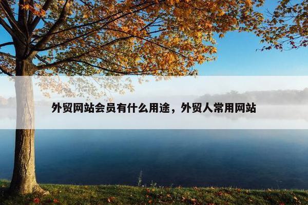 外贸网站会员有什么用途，外贸人常用网站