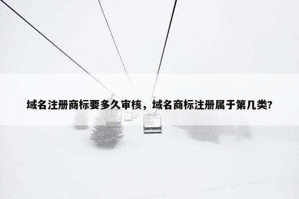 域名注册商标要多久审核，域名商标注册属于第几类?