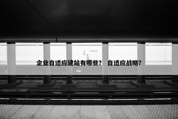 企业自适应建站有哪些？ 自适应战略？