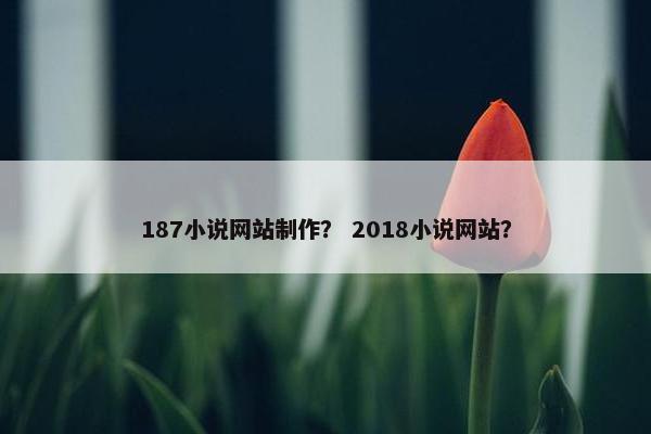 187小说网站制作？ 2018小说网站？