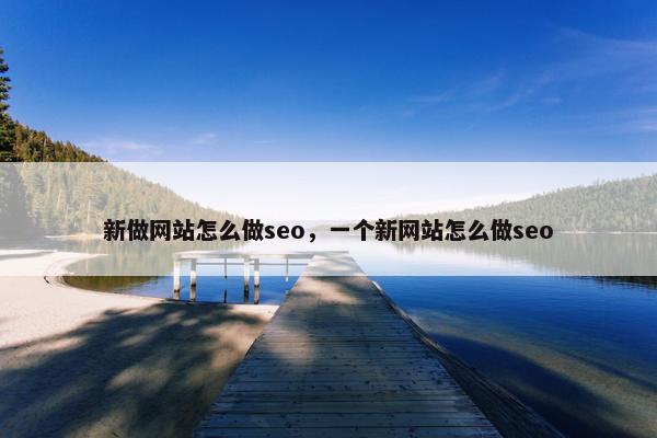 新做网站怎么做seo，一个新网站怎么做seo