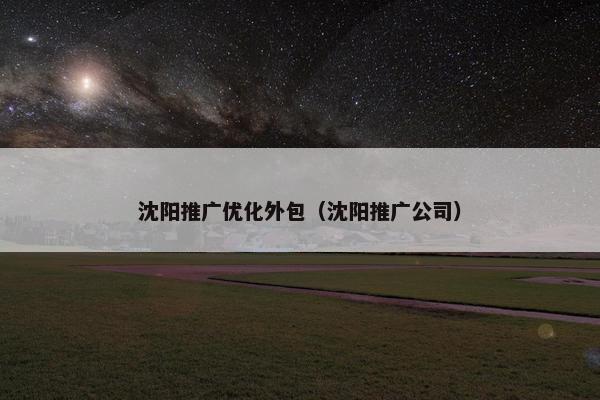 沈阳推广优化外包（沈阳推广公司）