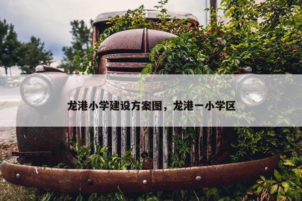 龙港小学建设方案图，龙港一小学区