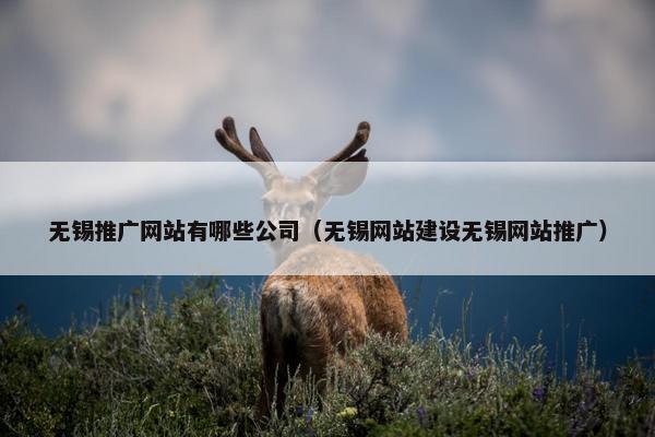 无锡推广网站有哪些公司（无锡网站建设无锡网站推广）