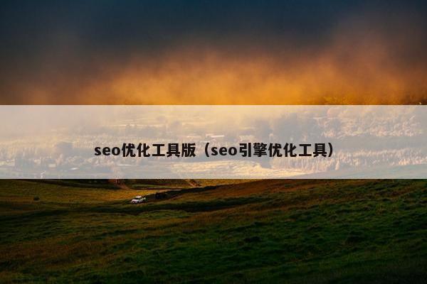 seo优化工具版（seo引擎优化工具）