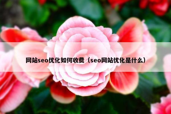 网站seo优化如何收费（seo网站优化是什么）