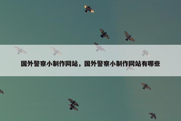 国外警察小制作网站，国外警察小制作网站有哪些