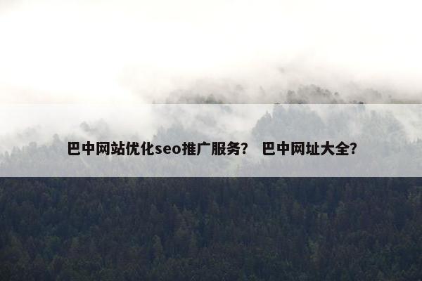 巴中网站优化seo推广服务？ 巴中网址大全？