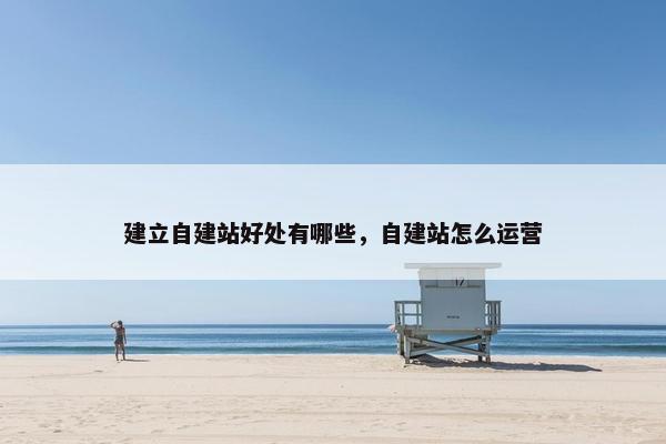 建立自建站好处有哪些，自建站怎么运营