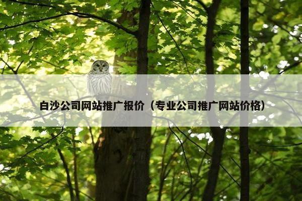 白沙公司网站推广报价（专业公司推广网站价格）