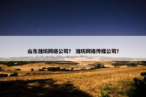 山东潍坊网络公司？ 潍坊网络传媒公司？