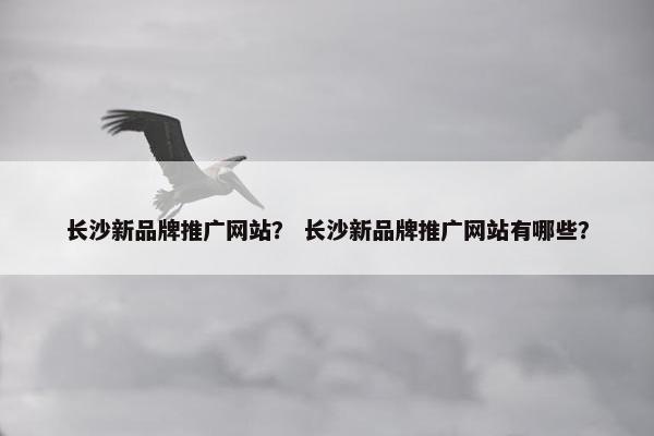 长沙新品牌推广网站？ 长沙新品牌推广网站有哪些？