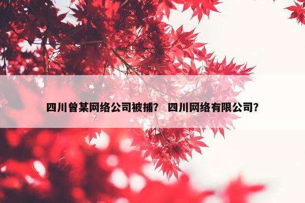 四川曾某网络公司被捕？ 四川网络有限公司？