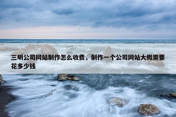 三明公司网站制作怎么收费，制作一个公司网站大概需要花多少钱