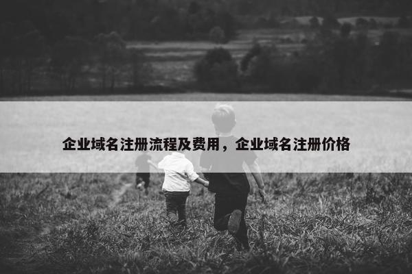 企业域名注册流程及费用，企业域名注册价格