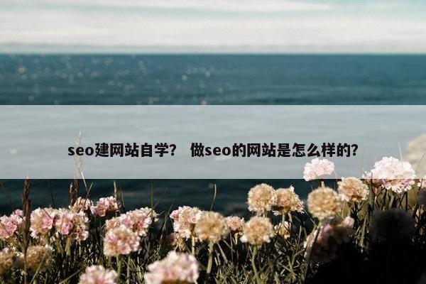 seo建网站自学？ 做seo的网站是怎么样的？