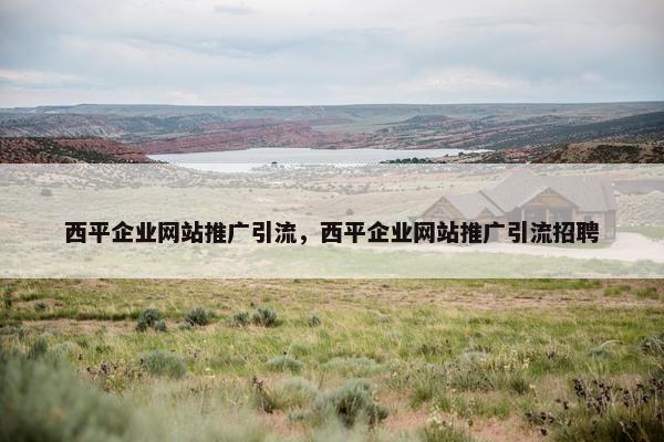 西平企业网站推广引流，西平企业网站推广引流招聘