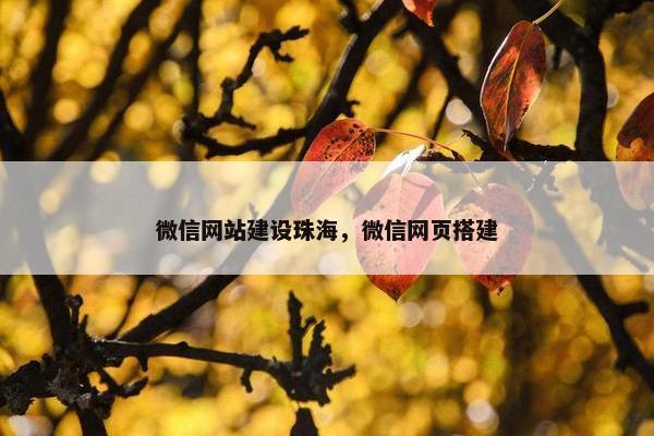微信网站建设珠海，微信网页搭建