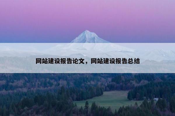 网站建设报告论文，网站建设报告总结