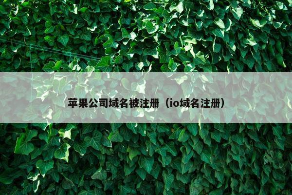 苹果公司域名被注册（io域名注册）