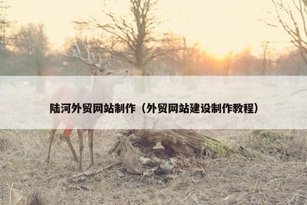 陆河外贸网站制作（外贸网站建设制作教程）