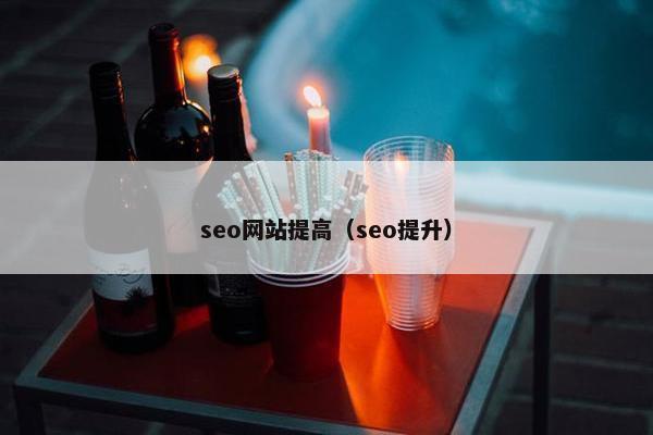 seo网站提高（seo提升）