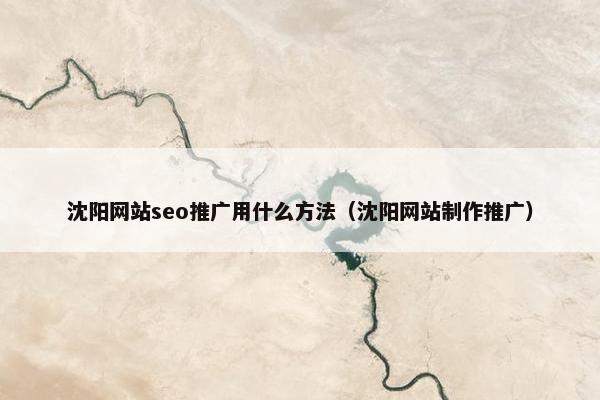 沈阳网站seo推广用什么方法（沈阳网站制作推广）