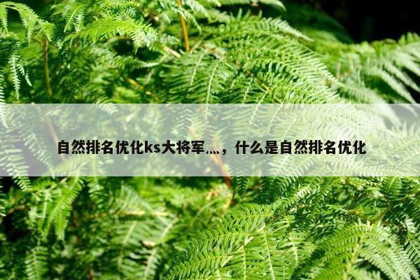 自然排名优化ks大将军灬，什么是自然排名优化