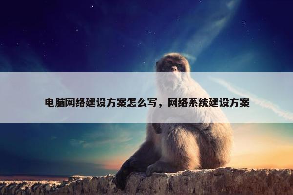 电脑网络建设方案怎么写，网络系统建设方案