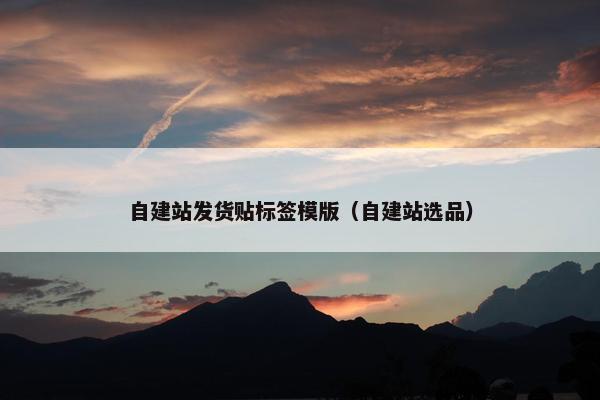自建站发货贴标签模版（自建站选品）