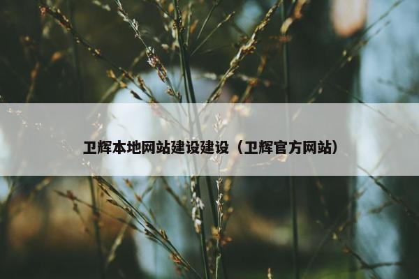 卫辉本地网站建设建设（卫辉官方网站）