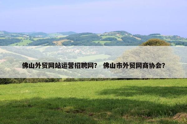佛山外贸网站运营招聘网？ 佛山市外贸网商协会？