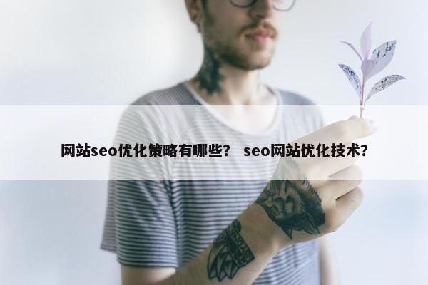 网站seo优化策略有哪些？ seo网站优化技术？