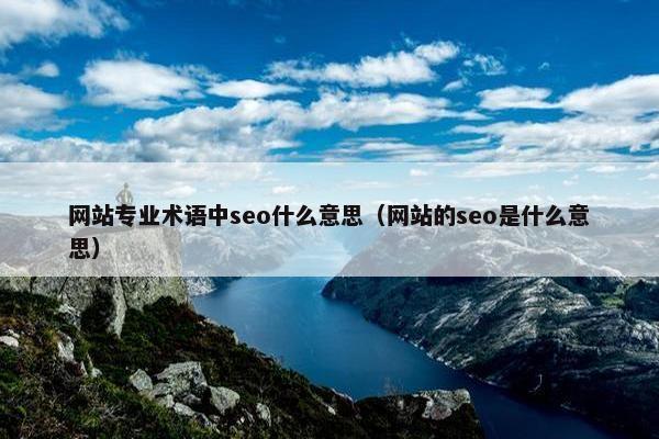 网站专业术语中seo什么意思（网站的seo是什么意思）