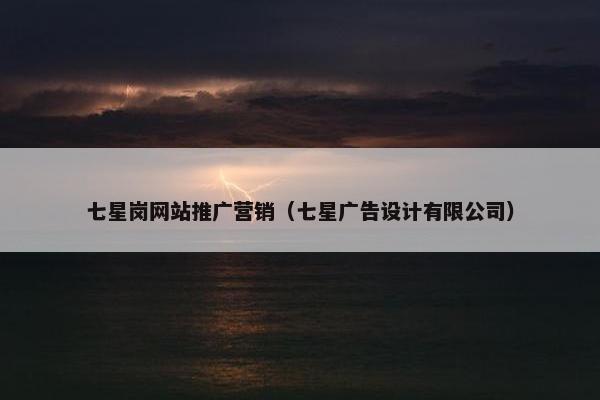 七星岗网站推广营销（七星广告设计有限公司）