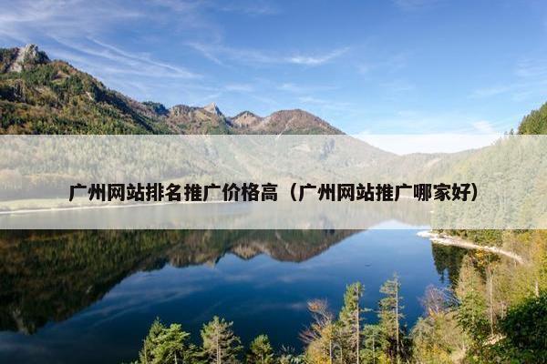 广州网站排名推广价格高（广州网站推广哪家好）