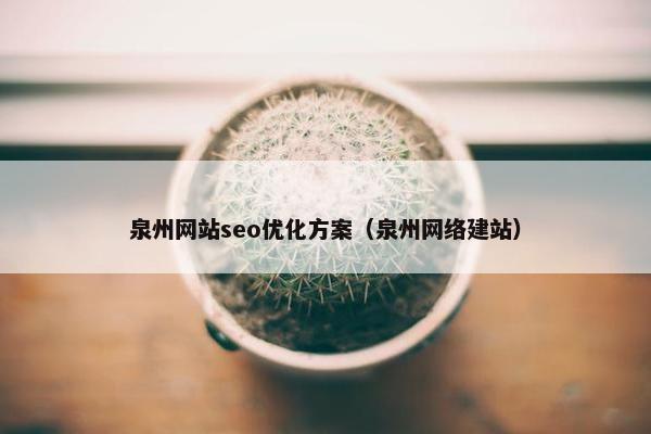 泉州网站seo优化方案（泉州网络建站）